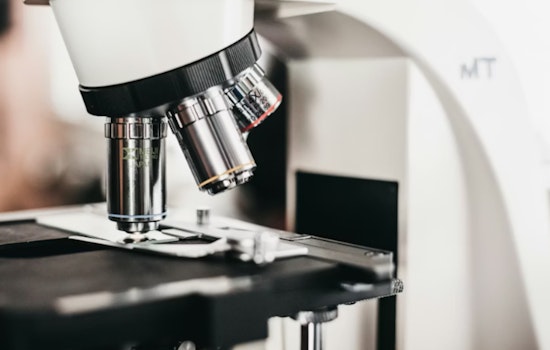 Portland Lab Nails the 'Brain on Fire' Culprit in Stunning Microscopic Detail