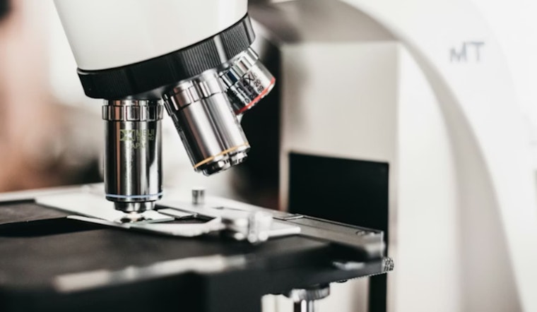 Portland Lab Nails the 'Brain on Fire' Culprit in Stunning Microscopic Detail