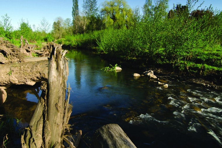 Portland Seeks Public Input on Environmental Code Changes