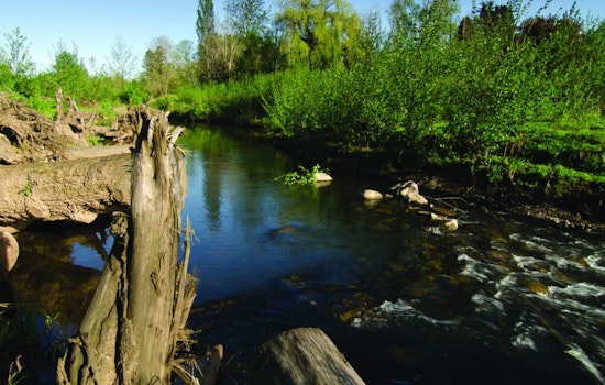 Portland Seeks Public Input on Environmental Code Changes