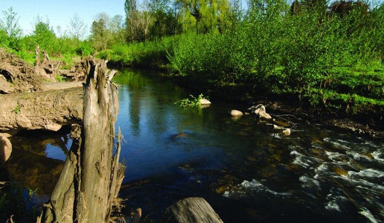 Portland Seeks Public Input on Environmental Code Changes