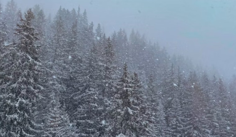Raleigh and Central NC Residents Prepare for Severe Winter Storm with Travel Warnings and Power Outage Risks
