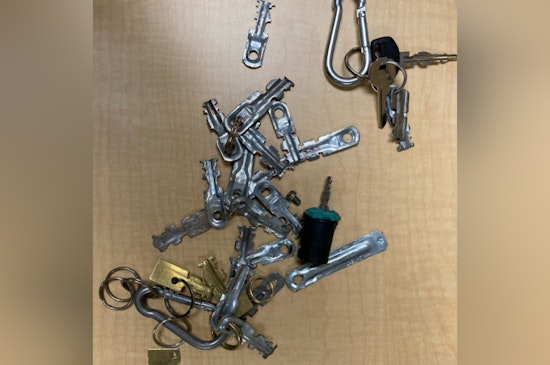 Rancho Cordova Traffic Stop Uncovers Mail Theft Operation, Suspect Booked on Multiple Charges