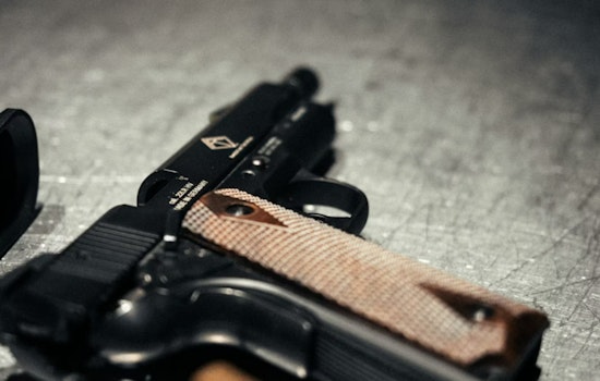 Red, Yellow, Green: Hawaii Mulls Gun Signs for Every Shop