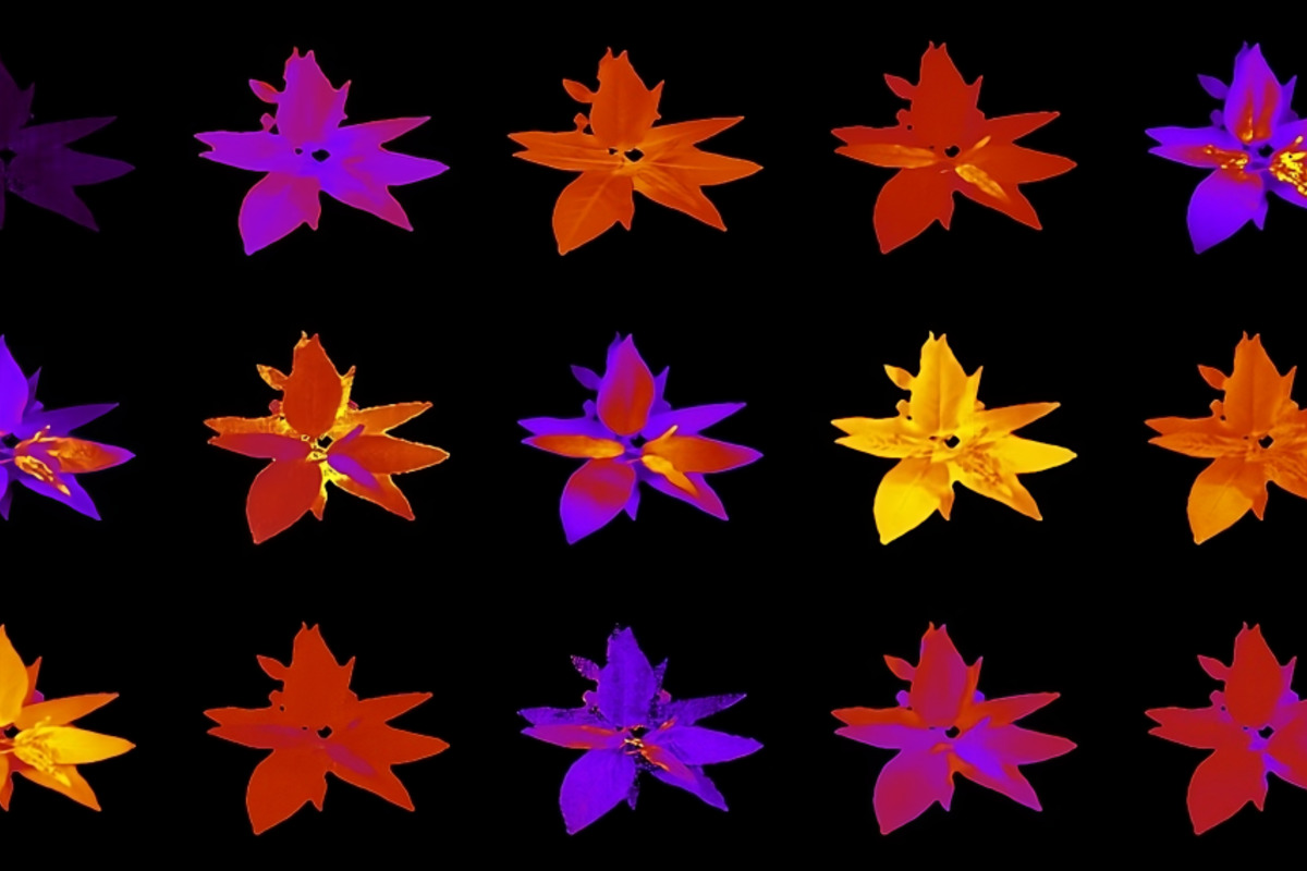 Revolutionary AI Accelerates Plant Research at Oak Ridge National Laboratory