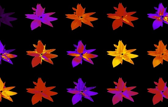Revolutionary AI Accelerates Plant Research at Oak Ridge National Laboratory