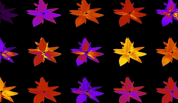Revolutionary AI Accelerates Plant Research at Oak Ridge National Laboratory