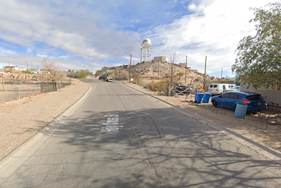 Roaming Dogs Bite Woman Near West Side Homeless Camp, Send Her To Hospital
