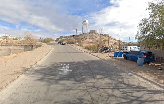 Roaming Dogs Bite Woman Near West Side Homeless Camp, Send Her To Hospital