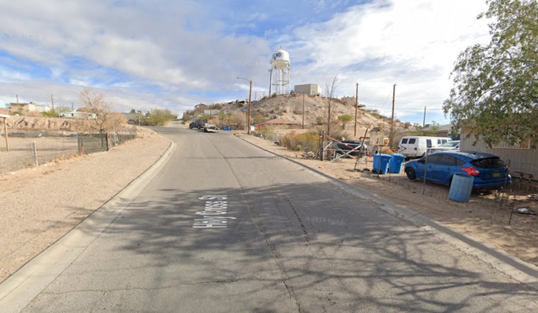 Roaming Dogs Bite Woman Near West Side Homeless Camp, Send Her To Hospital