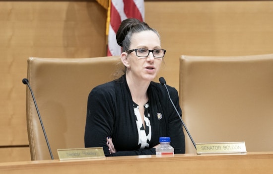 Rochester Delegation Demands Accountability After Fatal ICE Shooting in Minneapolis