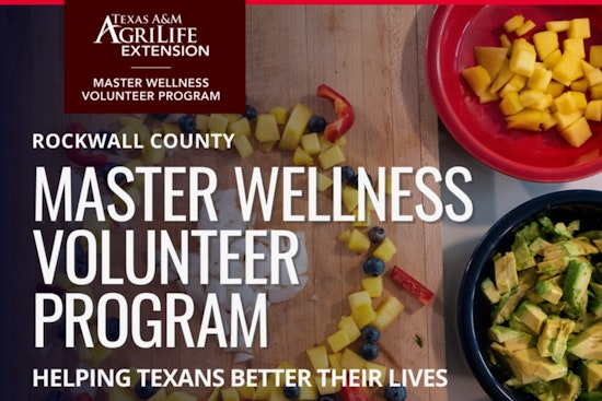 Rockwall County Seeks Passionate Volunteers for Master Wellness Program to Boost Community Health Education
