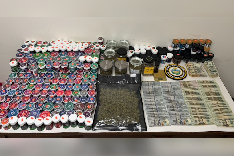 Ross Township Vape Shops Caught in Illegal Marijuana Bust, Authorities Seize Drugs and Cash on McKnight Road