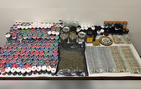 Ross Township Vape Shops Caught in Illegal Marijuana Bust, Authorities Seize Drugs and Cash on McKnight Road