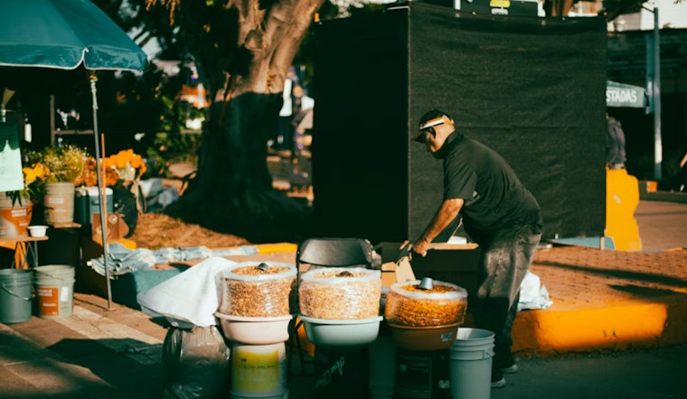 Sacramento Street Eats Crackdown Sees Complaints Plunge