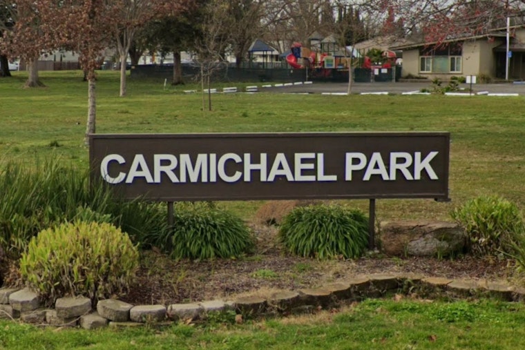 13-Year-Old Dog Killed In Carmichael Park Attack, Owner Hunts Runaway Handlers