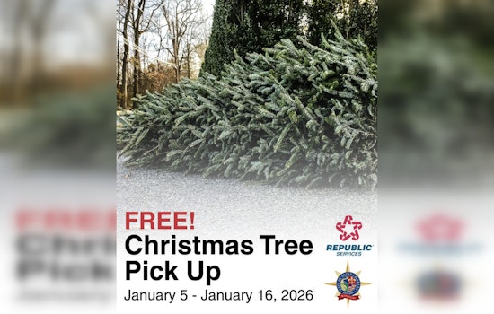 Saint Charles Offers Free Christmas Tree Recycling to Promote Sustainability