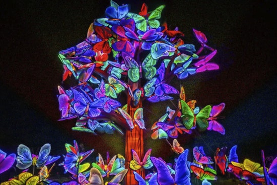 Saint Louis Zoo Welcomes Back Forest Park After Dark Animals Aglow