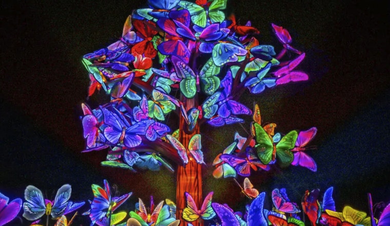 Saint Louis Zoo Welcomes Back Forest Park After Dark Animals Aglow