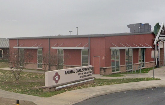 San Antonio Hosts Fee-Waived Pet Adoption Event at PetSmart and Animal Care Services