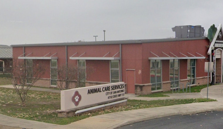 San Antonio Hosts Fee-Waived Pet Adoption Event at PetSmart and Animal Care Services