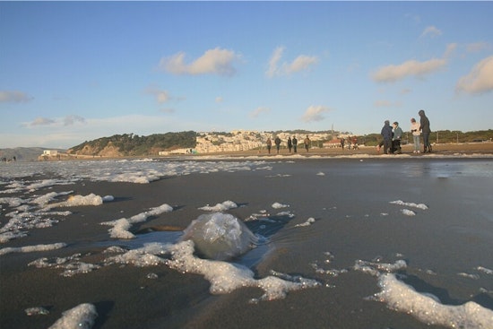San Franciscans Brave the Chill for the New Year's Day Polar Plunge at Ocean Beach