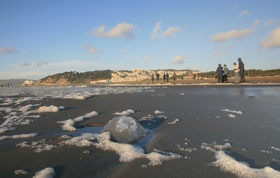 San Franciscans Brave the Chill for the New Year's Day Polar Plunge at Ocean Beach