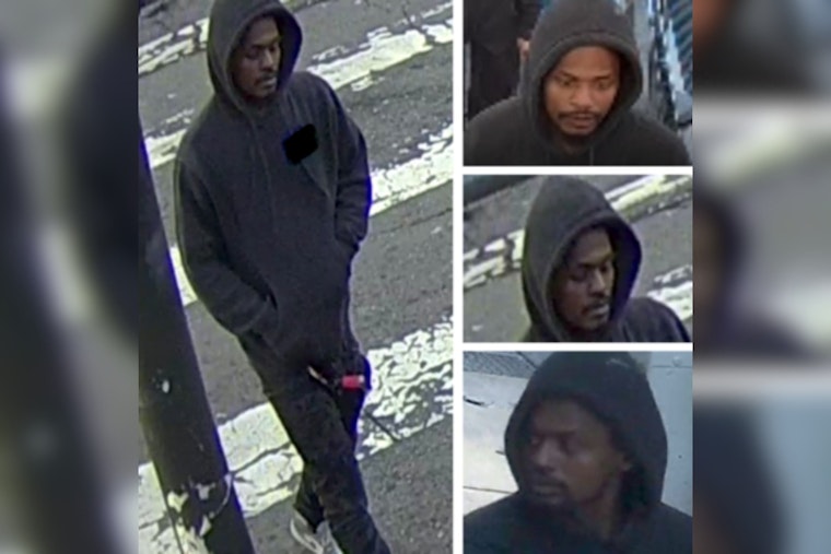 San Francisco Police Seek Public's Help to Identify Suspect in Assault That Injured Senior and Dog