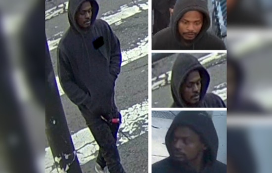 San Francisco Police Seek Public's Help to Identify Suspect in Assault That Injured Senior and Dog