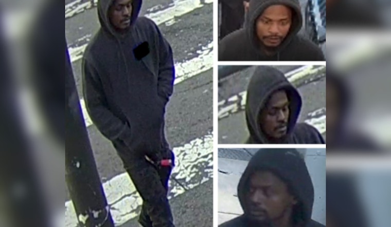 San Francisco Police Seek Public's Help to Identify Suspect in Assault That Injured Senior and Dog