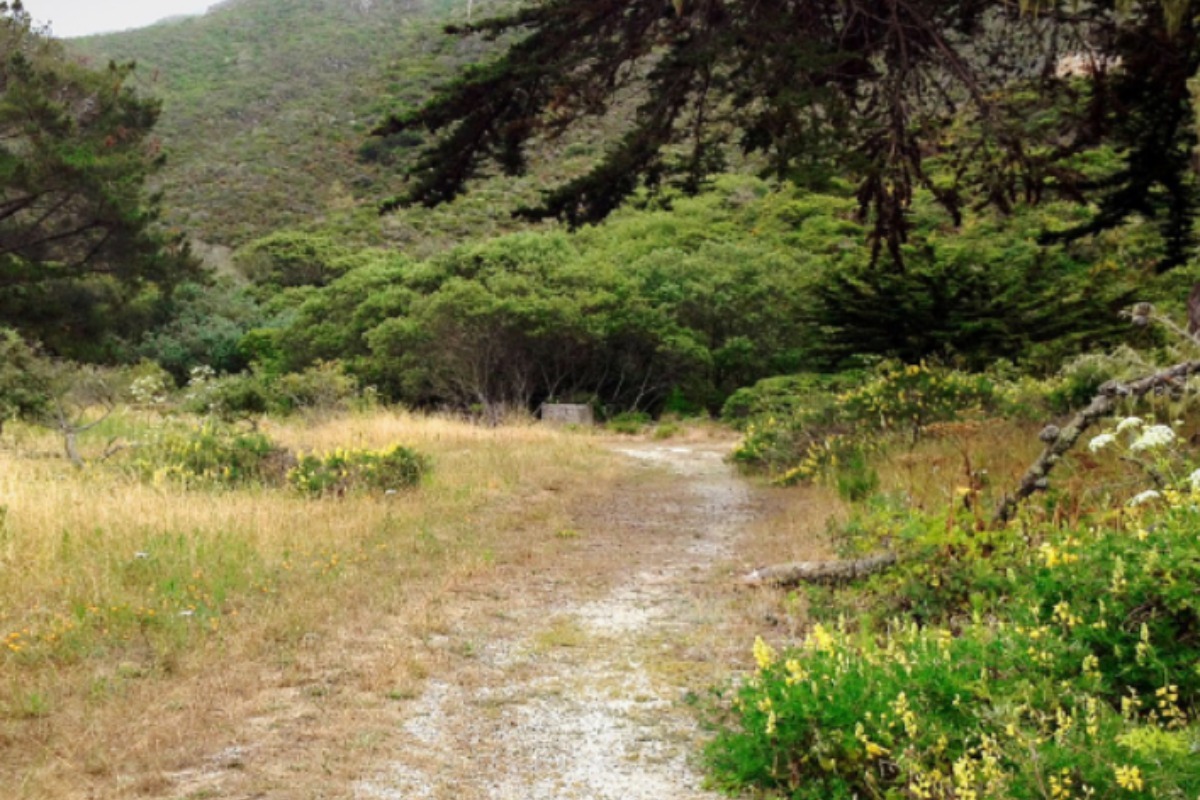 San Mateo County Cashes In As Property Tax Haul Hits $4.1 Billion