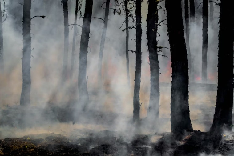 San Ramon Valley Fire Protection District Battles Delays and Regulatory Challenges in Wildfire Mitigation Efforts