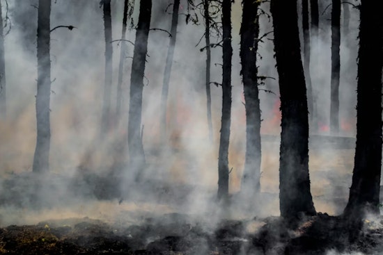 San Ramon Valley Fire Protection District Battles Delays and Regulatory Challenges in Wildfire Mitigation Efforts