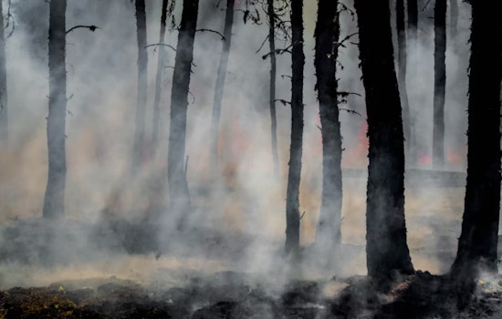 San Ramon Valley Fire Protection District Battles Delays and Regulatory Challenges in Wildfire Mitigation Efforts