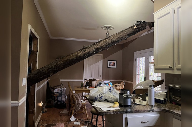 Sandy Springs Resident Injured as Tree Falls on Home During Fierce Winter Storm