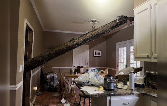 Sandy Springs Resident Injured as Tree Falls on Home During Fierce Winter Storm