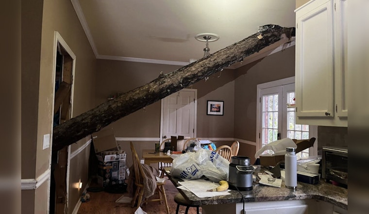 Sandy Springs Resident Injured as Tree Falls on Home During Fierce Winter Storm