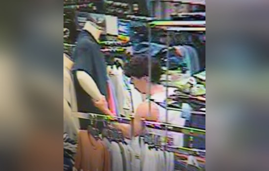 Search for 'Mannequin Hands Thief' Unfolds in Covington as St. Tammany Sheriff Seeks Tips