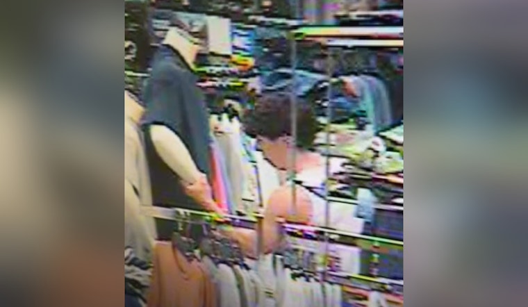 Search for 'Mannequin Hands Thief' Unfolds in Covington as St. Tammany Sheriff Seeks Tips