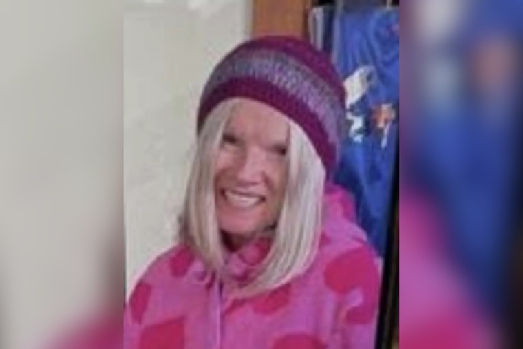 Search Intensifies As 72-Year-Old Vanishes Near Mill Valley Golf Course