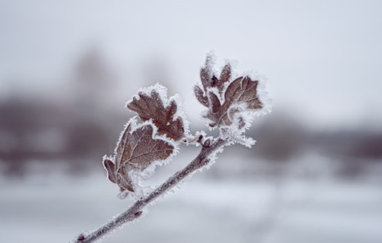 Seattle Braces for Bitter Cold as National Weather Service Issues Advisory