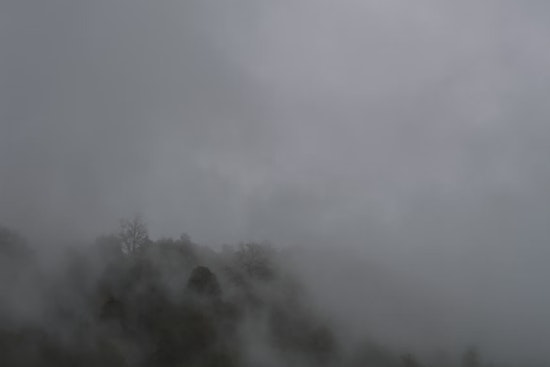 Seattle Grapples with Rare Freezing Fog as NWS Forecasts Calmer Weather Ahead
