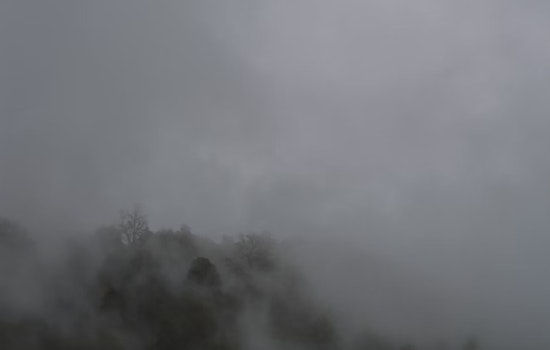Seattle Grapples with Rare Freezing Fog as NWS Forecasts Calmer Weather Ahead