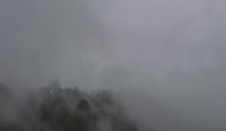 Seattle Grapples with Rare Freezing Fog as NWS Forecasts Calmer Weather Ahead