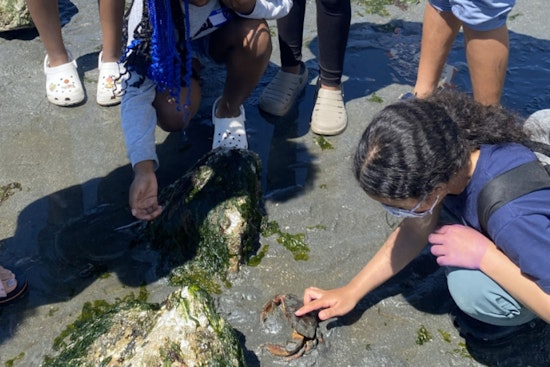 Seattle Invests Over $930K in Local Environmental Projects Through Environmental Justice Fund