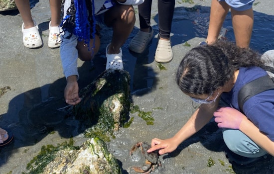 Seattle Invests Over $930K in Local Environmental Projects Through Environmental Justice Fund