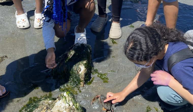 Seattle Invests Over $930K in Local Environmental Projects Through Environmental Justice Fund