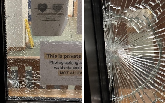 Seattle Man Arrested for Alleged Pellet Gun Shooting, Victim Injured and Property Damaged