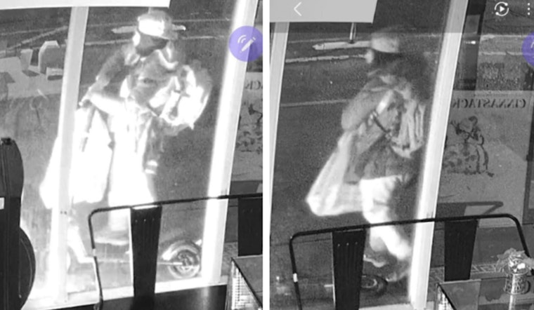 Seattle Police Seek Public's Help to Identify Suspect in Deliberate Cinnaholic Bakery Arson on Christmas Day