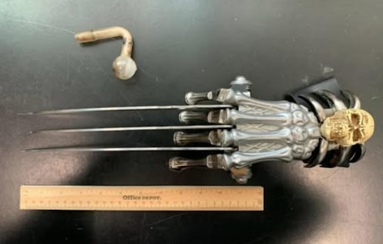 Sebastopol Police Arrest Man Suspected of Weapon Possession and Illegal Camping on Joe Rodota Trail
